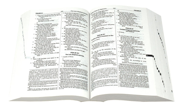 St Joseph New American Bible- Paperback